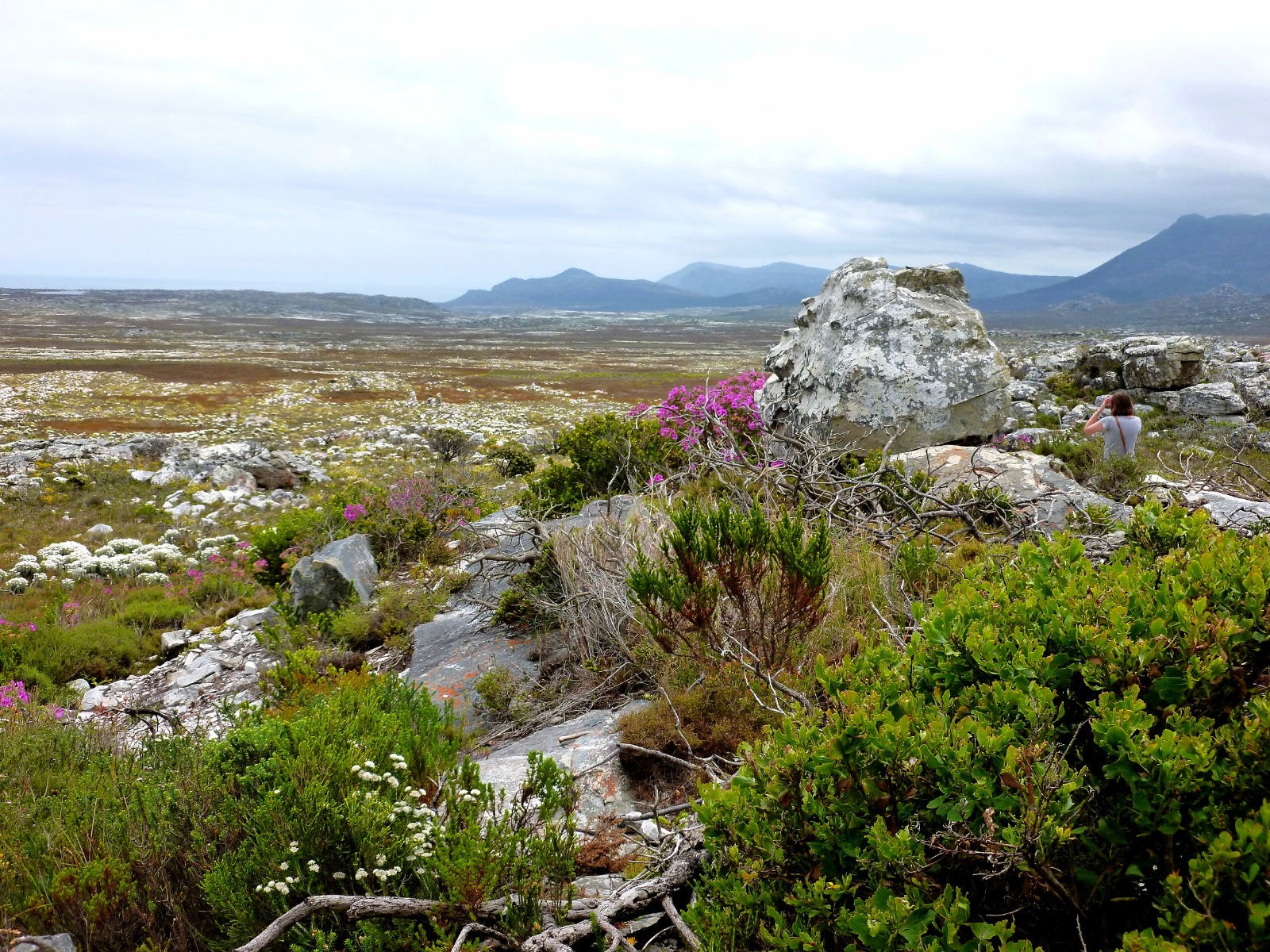 Cape Point Nature Reserve