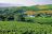 Weinregion