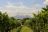 Weingut