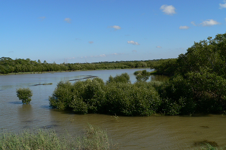 iSimangaliso National Park