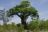Unterwegs im Kruger National Park