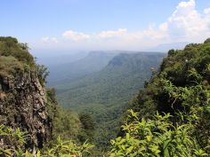 Walking South Africa - God's Window, Panorama Route