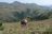 Walking South Africa - Wanderung in den Drakensbergen