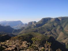 Wildes Mpumalanga - Panorama Route