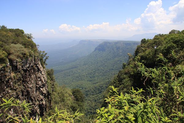 Wildes Mpumalanga