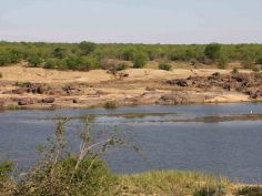 Wildes Mpumalanga - Landschaft im Kruger National Park
