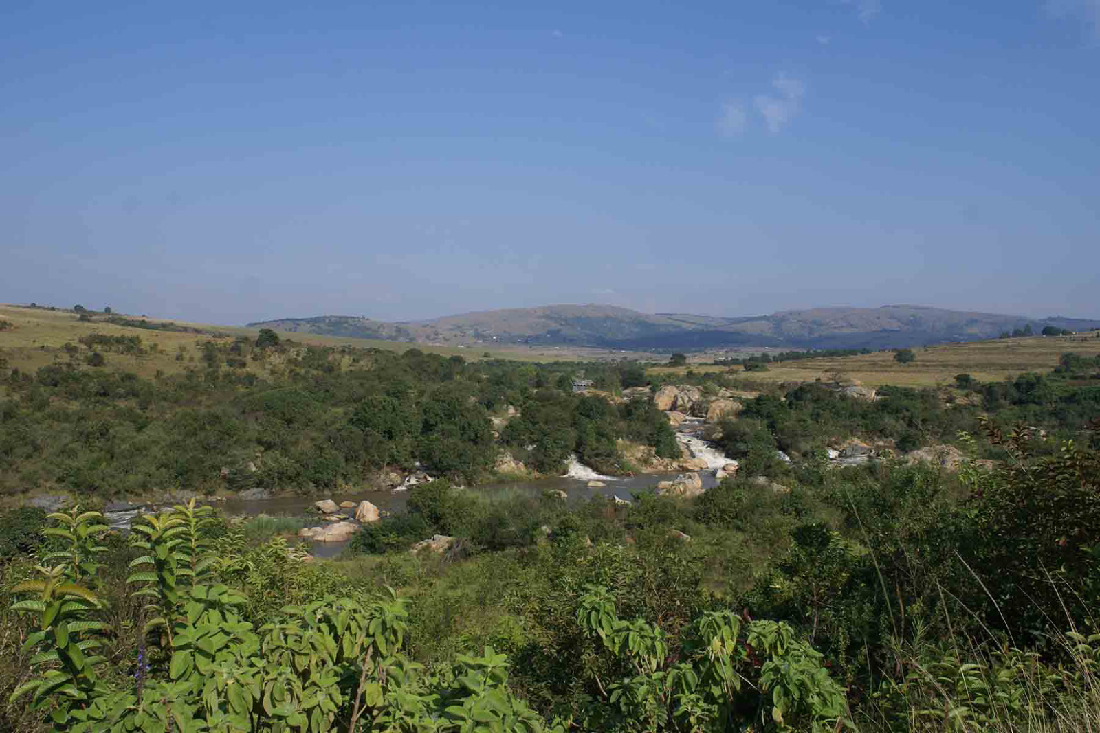 Wildlife Discovery - Unterwegs in Swaziland