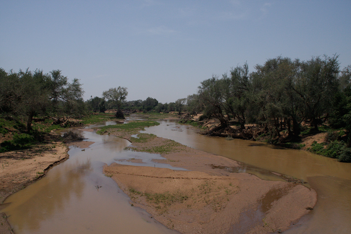 Wildlife Discovery - Kruger National Park