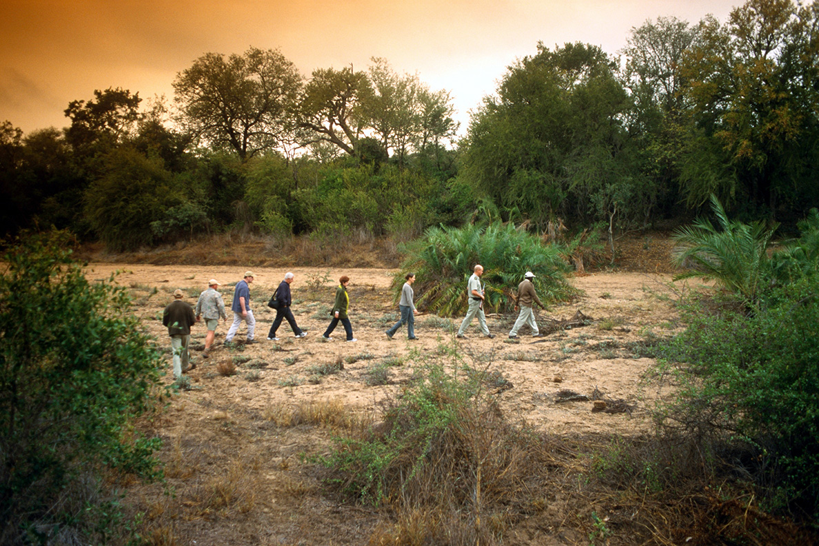 Kruger Wildlife Safari - Bush Walk