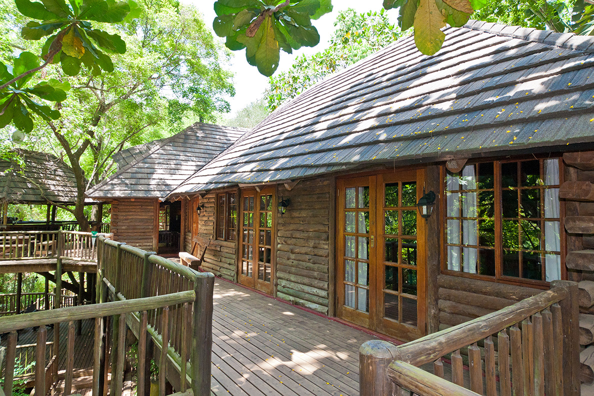 Kruger Wildlife Safari - Bush Lodge im Balule Game Reserve
