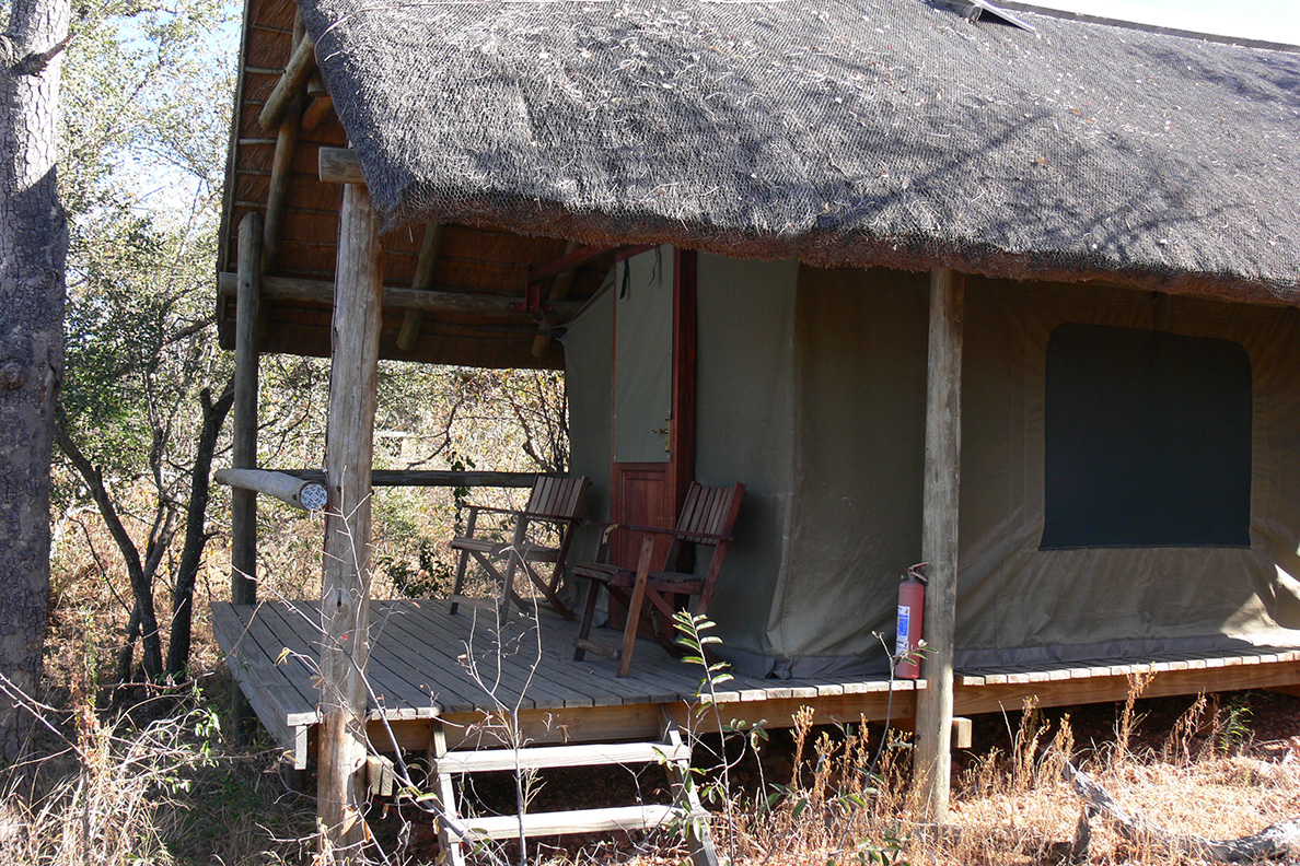 Kruger Wildlife Safari - Bush Lodge im Balule Game Reserve