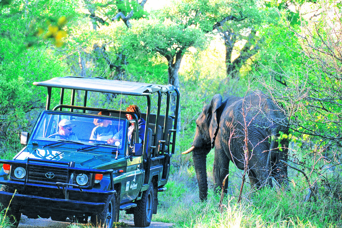 Pirschfahrten im Balule Game Reserve