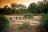 Kruger Wildlife Safari - Bush Walk
