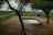 Kruger Wildlife Safari - Bush Lodge im Balule Game Reserve