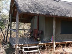 Kruger Wildlife Safari - Bush Lodge im Balule Game Reserve
