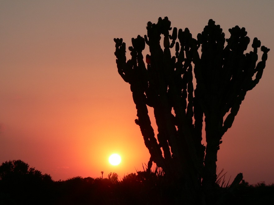 Bush &amp; Beach - Sonnenuntergang in KwaZulu Natal
