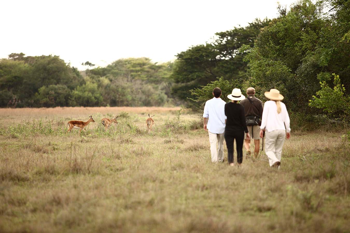 Bush &amp; Beach Self Drive - Phinda Game Reserve