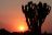 Bush &amp; Beach - Sonnenuntergang in KwaZulu Natal