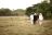 Bush &amp; Beach Self Drive - Phinda Game Reserve