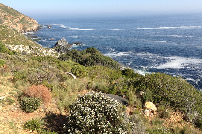 Garden Route Highlights - Unterwegs nach Hermanus