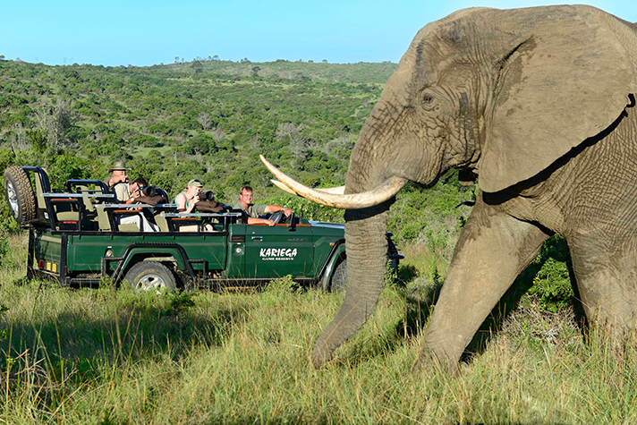 Garden Route Highlights, Kariega Game Reserve - Pirschfahrt im offenen Fahrzeug