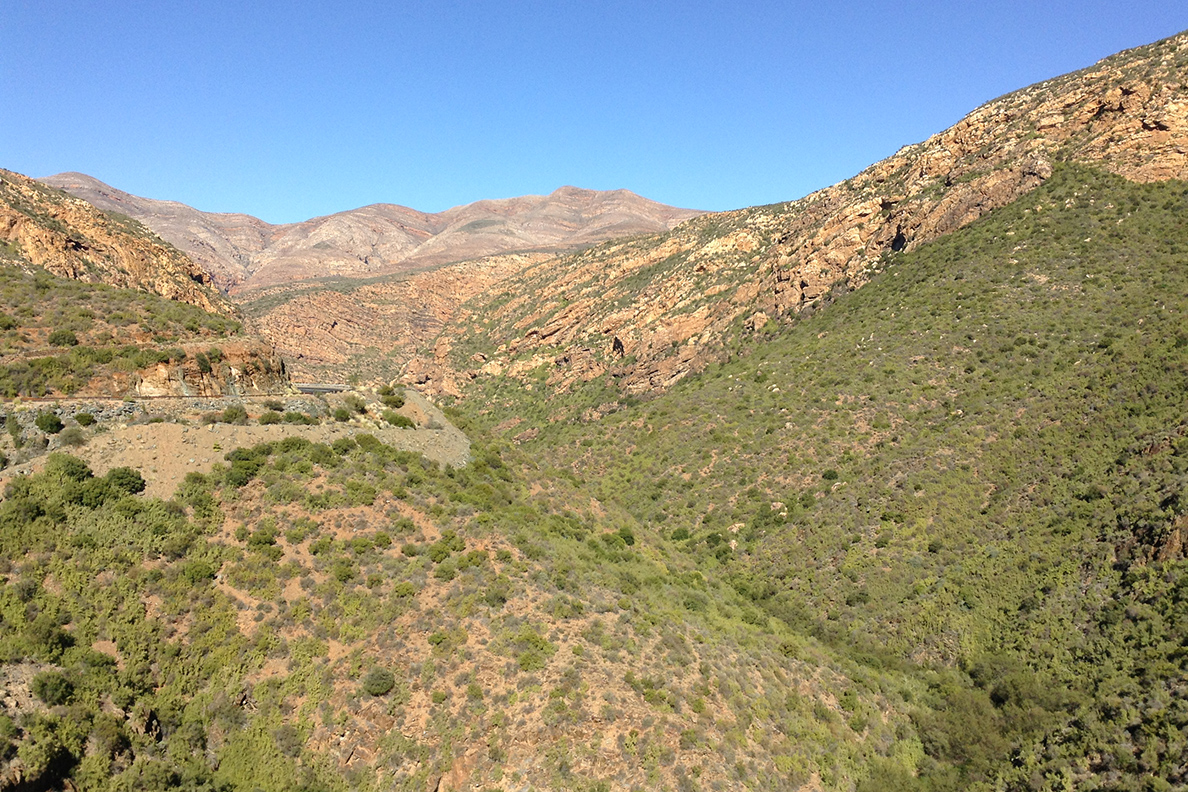 Garden Route Highlights - Unterwegs in der Karoo