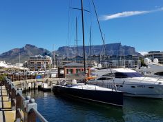 Garden Route Highlights - Cape Town Waterfront