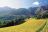 Garden Route Highlights - Weinfarm
