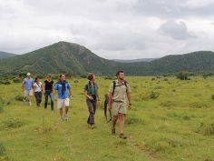 Garden Route Highlights - Kariega Game Reserve