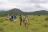 Garden Route Highlights - Kariega Game Reserve