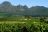 Höhepunkte Südafrikas - Weingut bei Stellenbosch