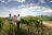 Höhepunkte Südafrikas - Weingut bei Stellenbosch