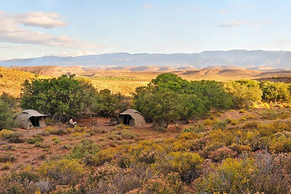 Sanbona Explorer Camp