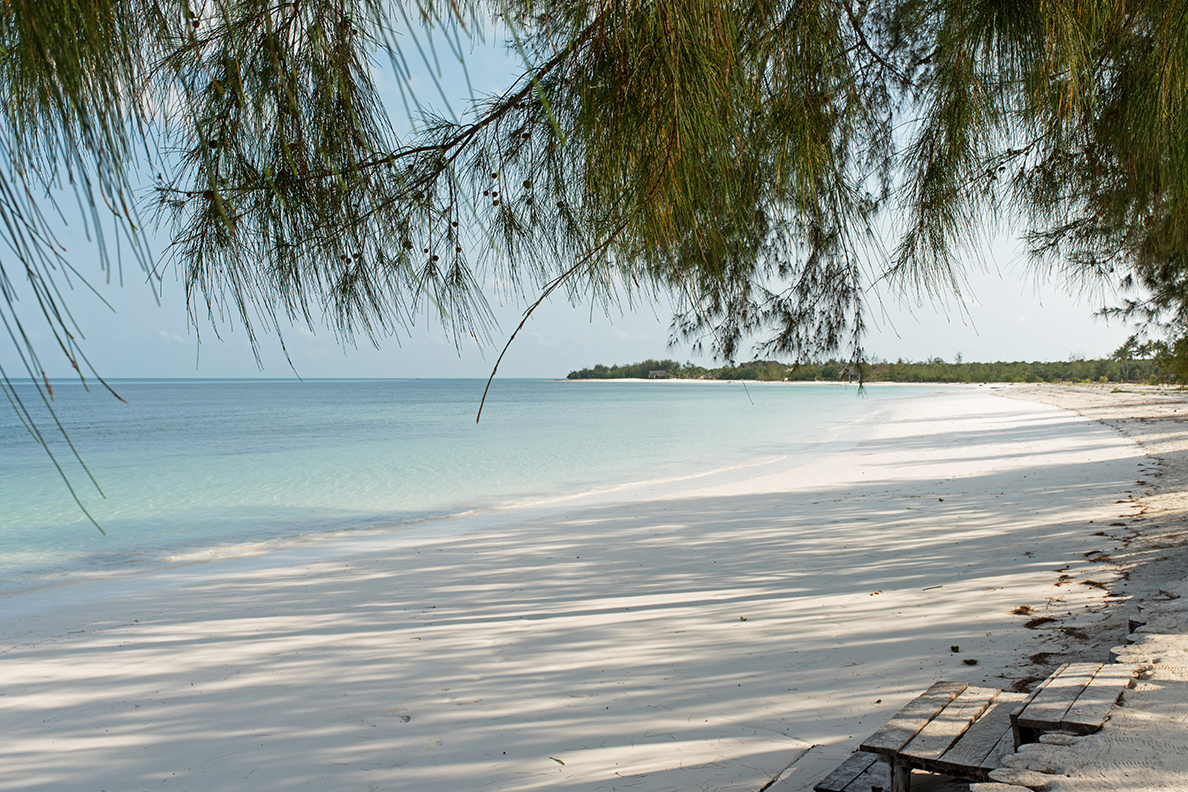 Michamvi Sunset Beach