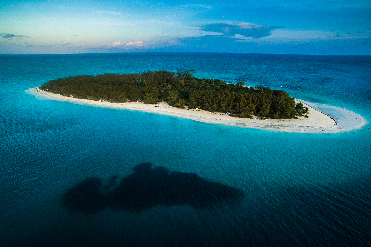 Mnemba Island