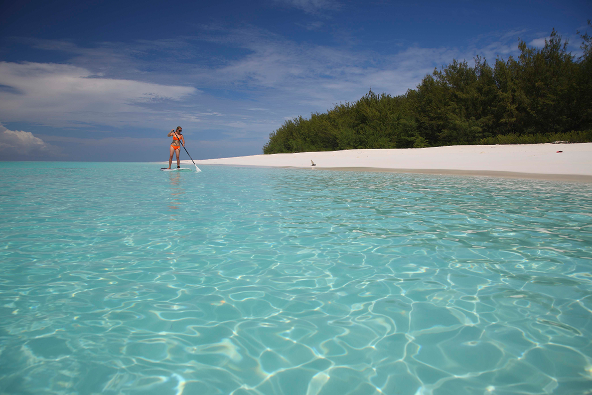 Mnemba Island