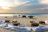 Mnemba Island