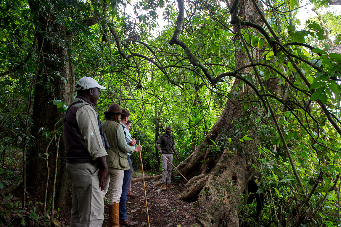 Arusha Serena Hotel - Wanderung