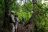 Arusha Serena Hotel - Wanderung