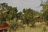 Balloon Camp