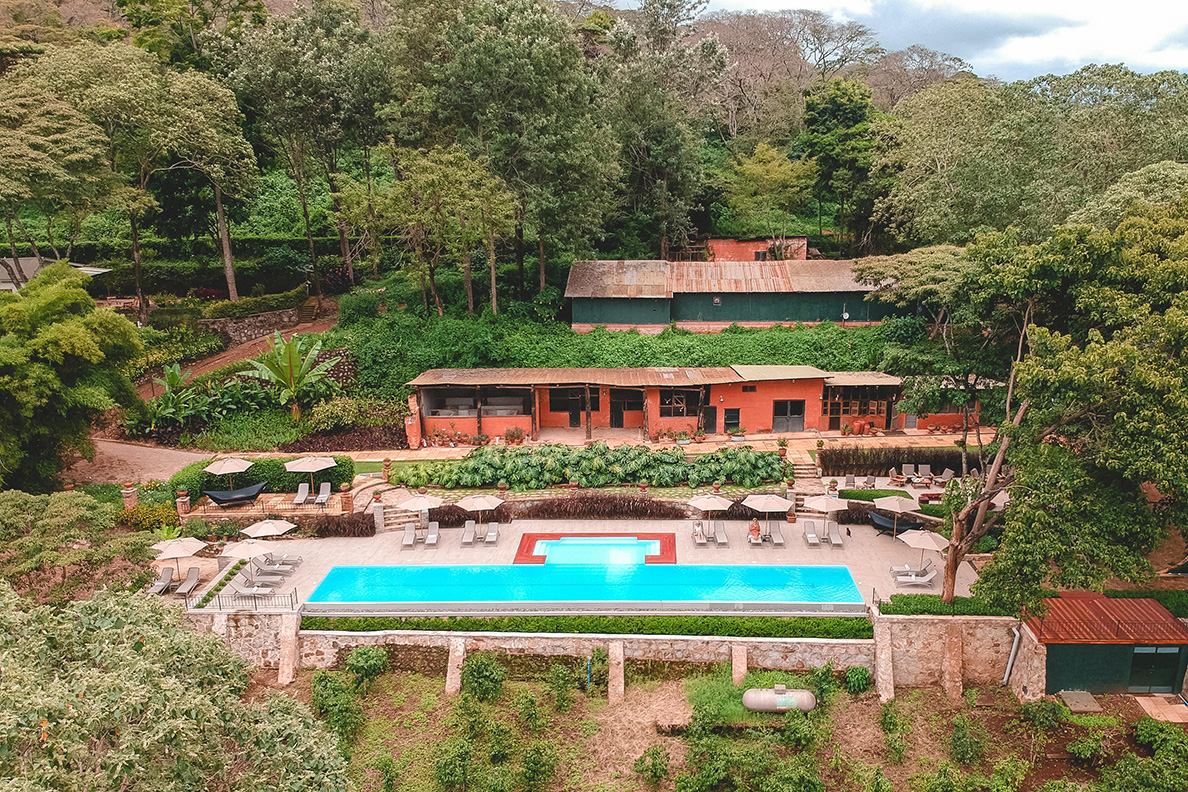 Gibb's Farm - Swimming Pool