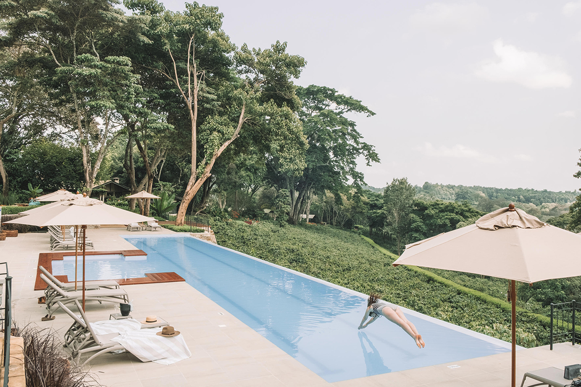 Gibb's Farm - Swimming Pool Aussicht