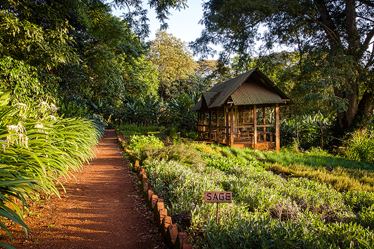 Gibb's Farm - Kräutergarten