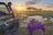 &amp;Beyond Grumeti - Sundowner Drink