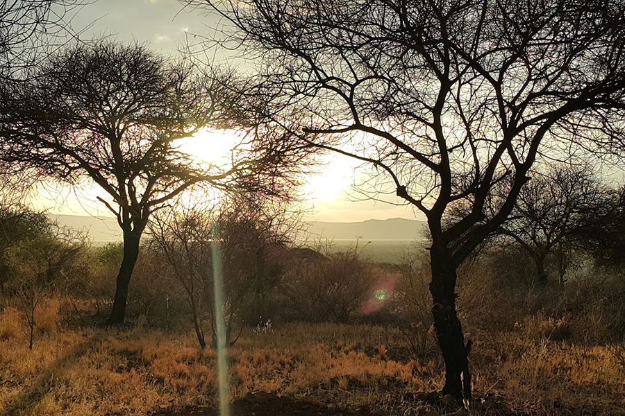Isoitok Manyara Camp