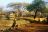 Isoitok Manyara Camp Isoitok Manyara Camp