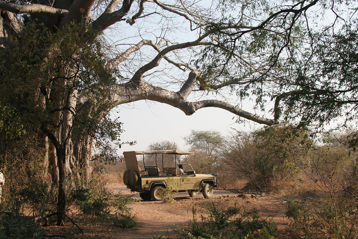 Jongomero Camp - Game Drive