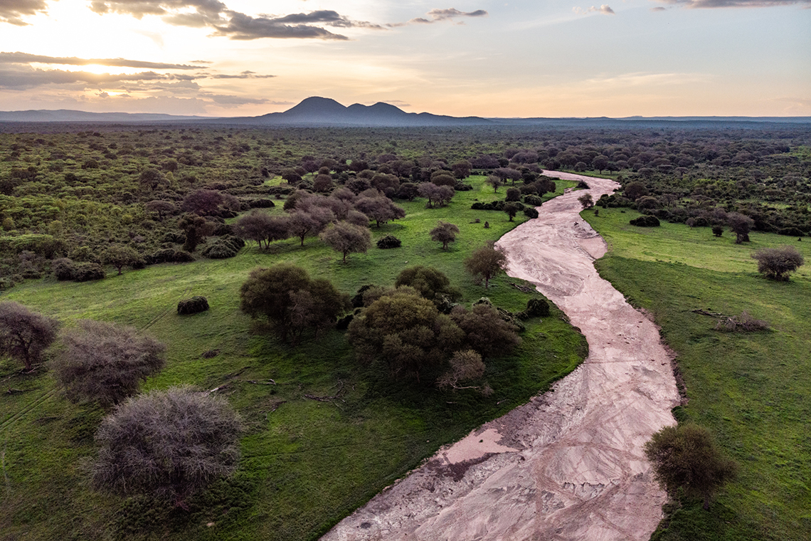 Jongomero Camp - Ruaha Szenerie