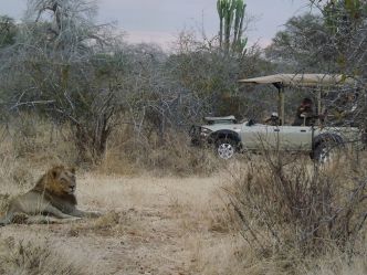 Jongomero Camp - Game Drive Jongomero Camp - Game Drive