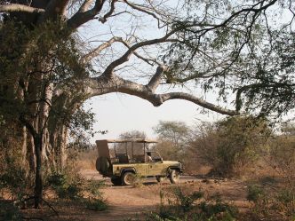 Jongomero Camp - Game Drive Jongomero Camp - Game Drive